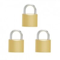 PADLOCK PREMIUM SOLID BRASS 50MM