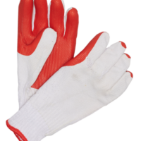 GLOVE CRAYFISH