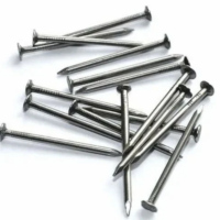 WIRE NAIL 125MM 1KG