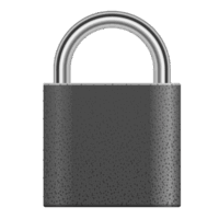 PADLOCK PROFESSIONAL IRON US 32MM