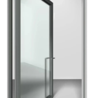 ALUMINIUM PIVOT DOOR 08
