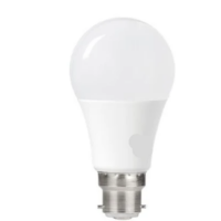 B22 ENERGY SAVER GLOBE 18W R ONLY