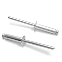 POP RIVETS 100PCS 4*12