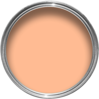 Contractors Coat 5L Sunset Peach