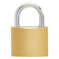 PADLOCK PROFESSIONAL 50MM 4KA